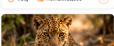Yala Safari Experience
