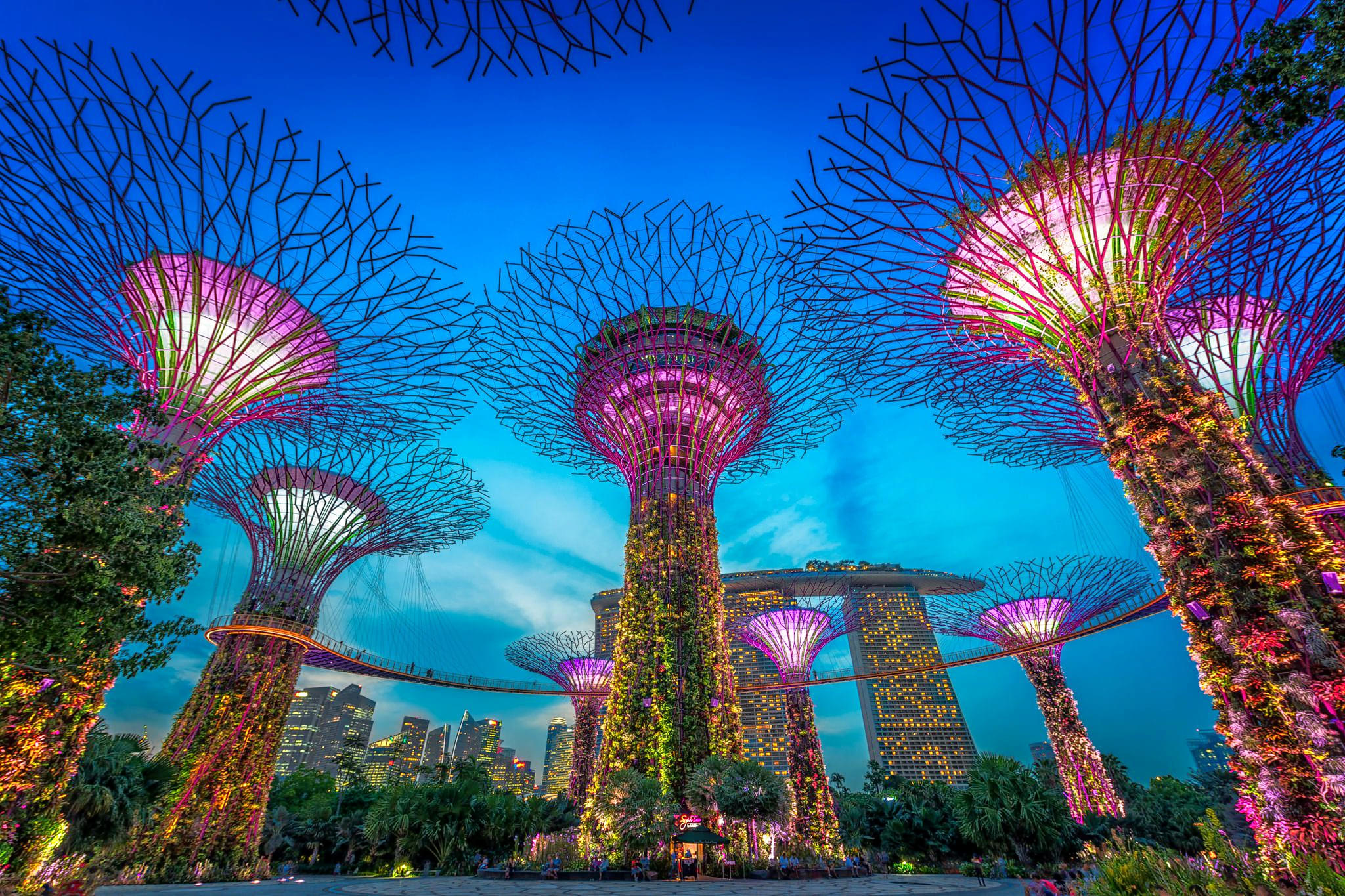 Singapore 4 Days/ 3 Night Tour